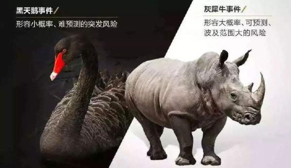 黑天鵝與灰犀牛事件簡略特點(diǎn)